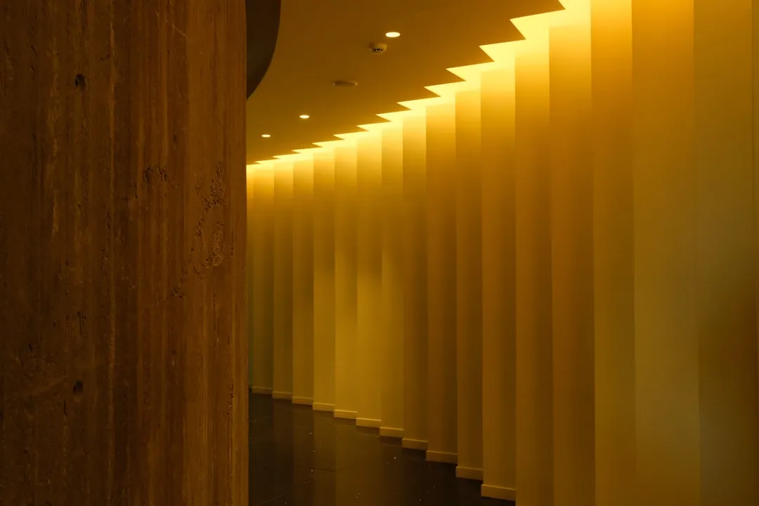 重庆地标建筑夜景亮化工程中轮廓灯与点光源的搭配应用